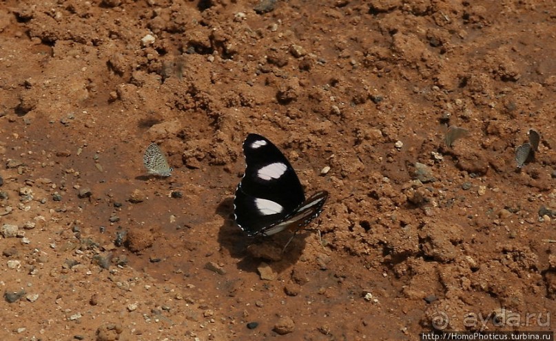 Ветреный угол