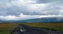 Лес Тора