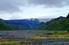 Альбом отзыва "Лес Тора"