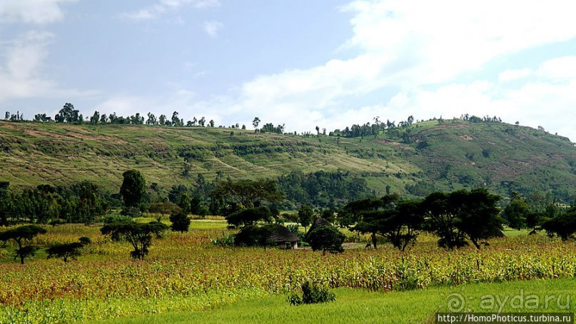 Оромия: первые рифтовые озера