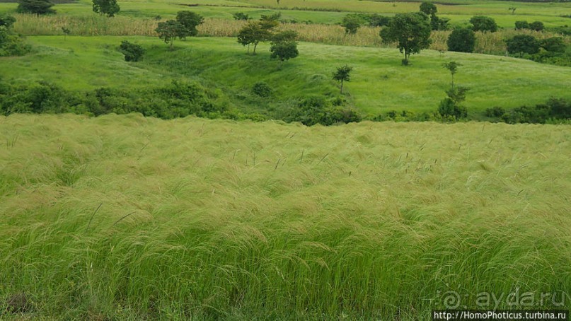 Оромия: первые рифтовые озера