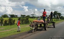 Оромия: первые рифтовые озера