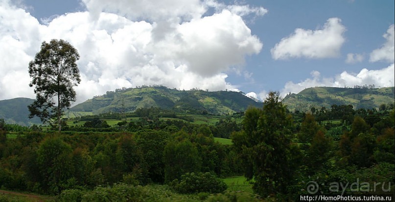 Оромия: первые рифтовые озера