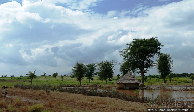 Оромия: первые рифтовые озера