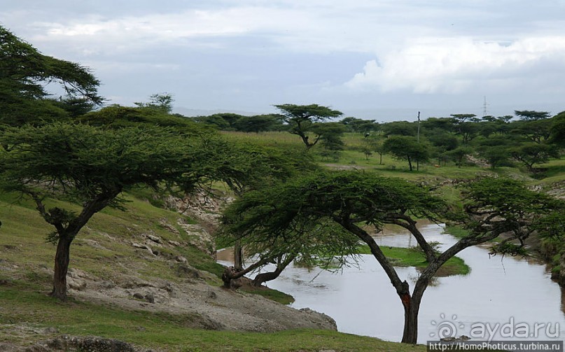 Оромия: первые рифтовые озера