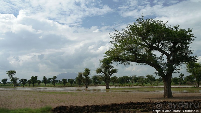 Оромия: первые рифтовые озера