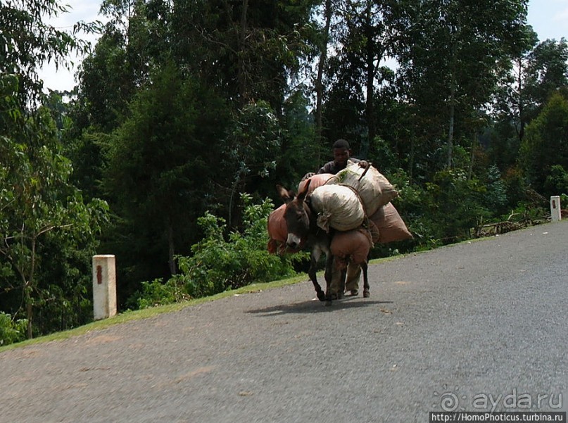 Оромия: первые рифтовые озера