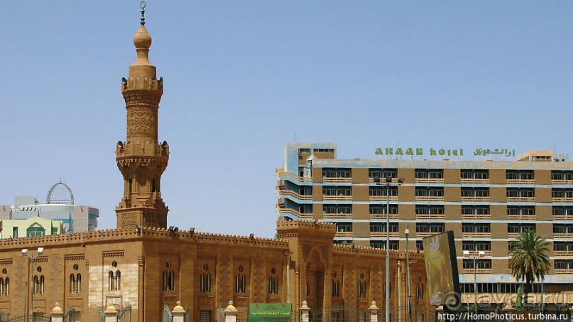 На кончике слоновьего хобота