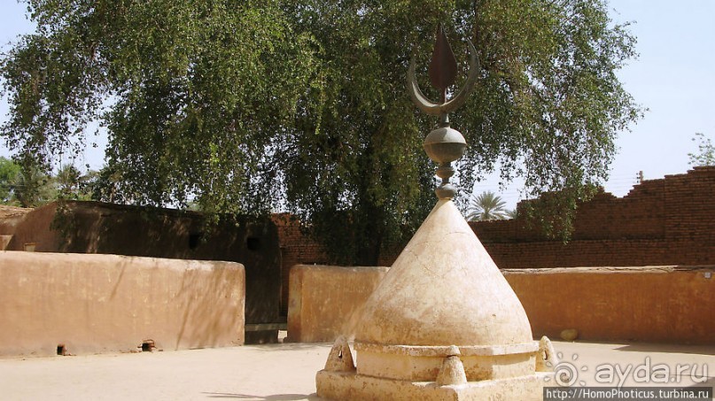 На кончике слоновьего хобота