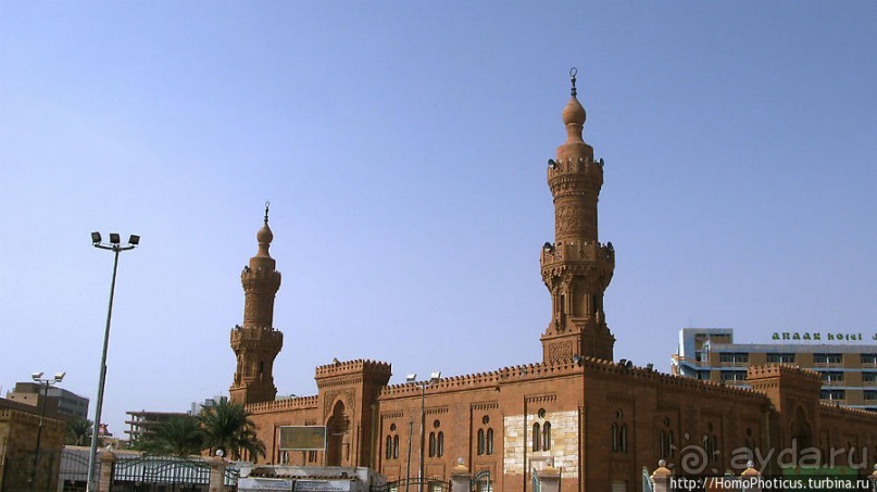 На кончике слоновьего хобота