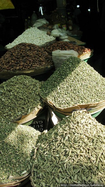 На кончике слоновьего хобота