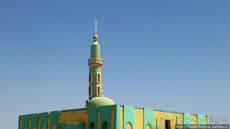 На кончике слоновьего хобота