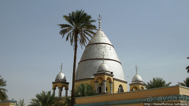 На кончике слоновьего хобота