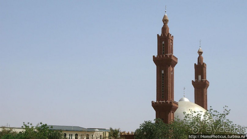 На кончике слоновьего хобота