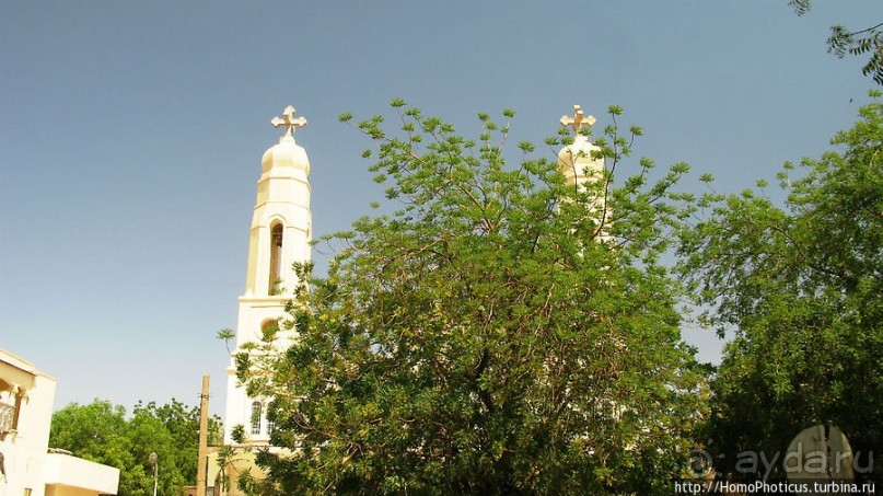 На кончике слоновьего хобота