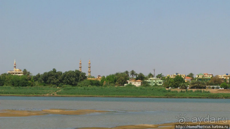 На кончике слоновьего хобота