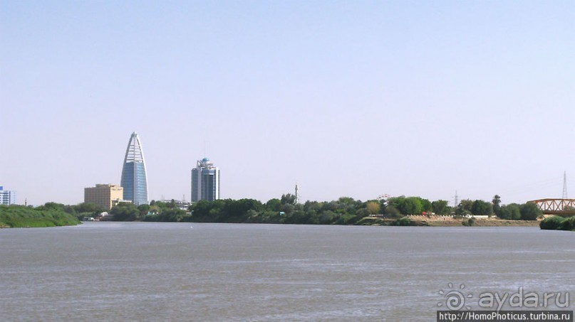 На кончике слоновьего хобота