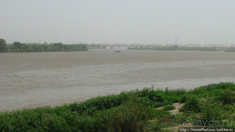 На кончике слоновьего хобота