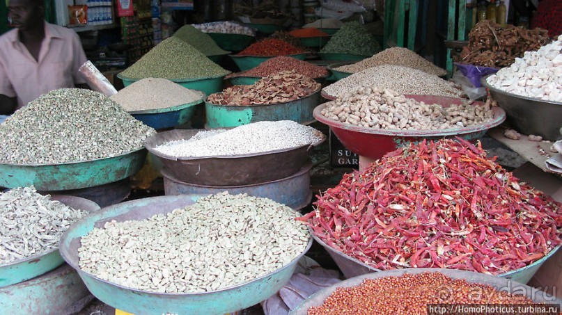 На кончике слоновьего хобота