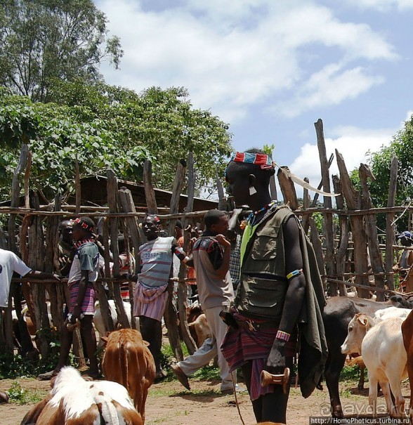 Этнография долины Омо: типажи бенна