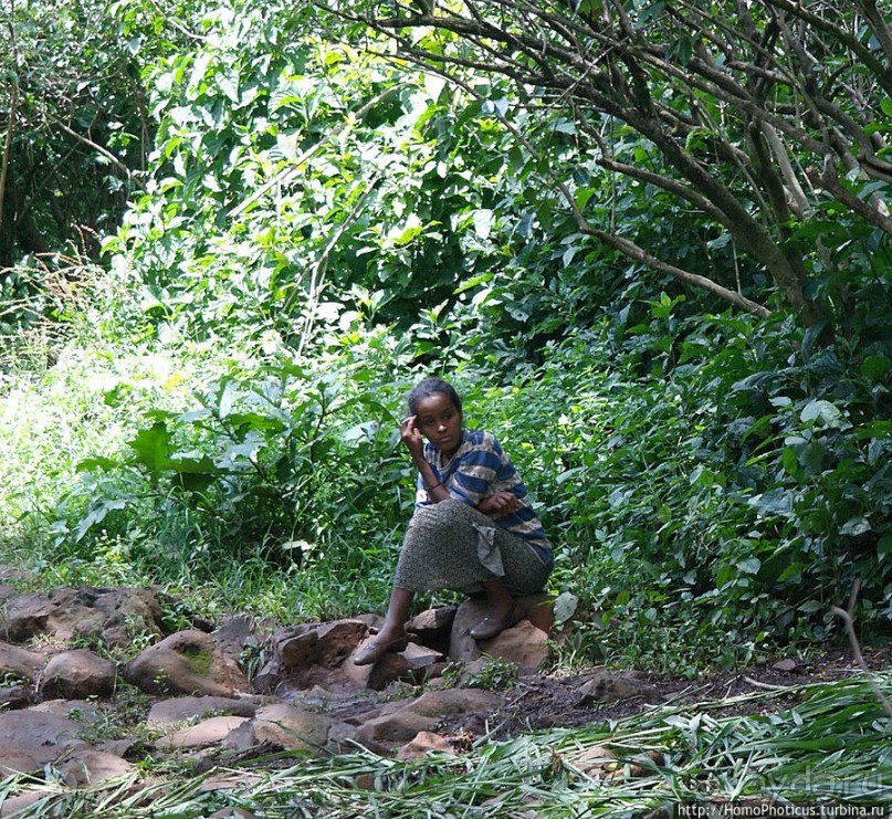 Северные Эфиопы