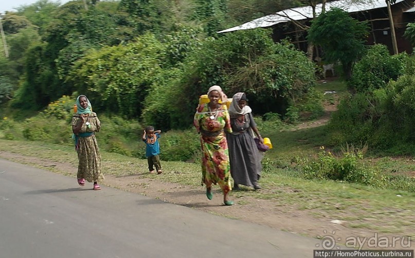 Северные Эфиопы