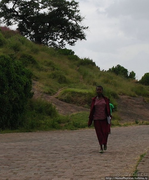 Северные Эфиопы