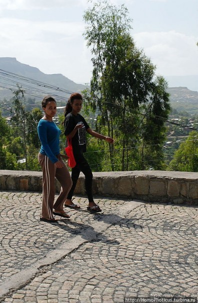 Северные Эфиопы