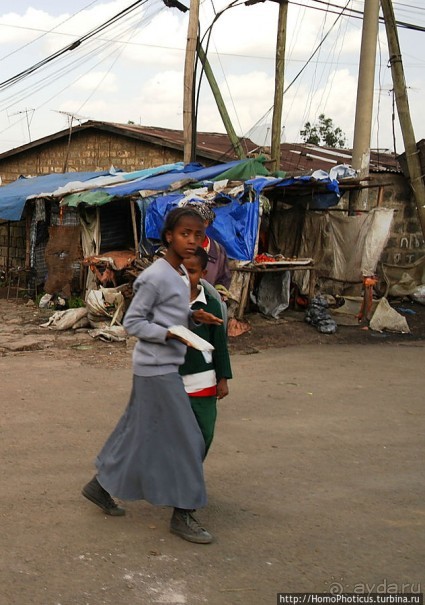 Северные Эфиопы