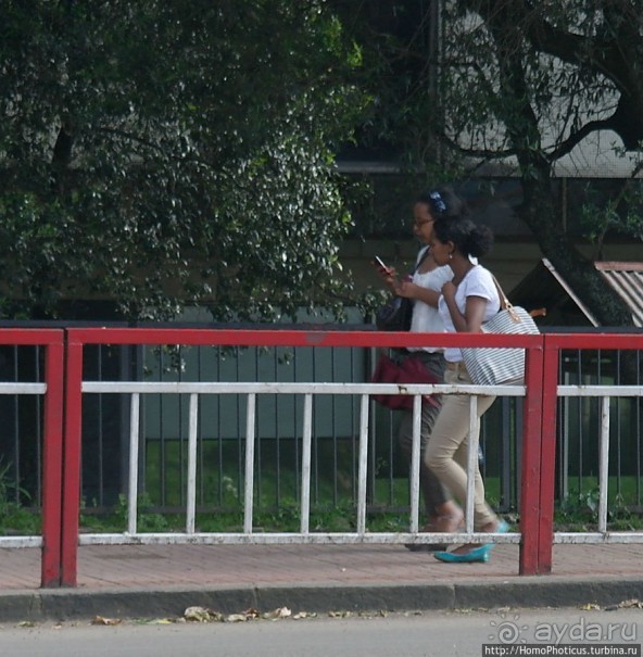 Северные Эфиопы