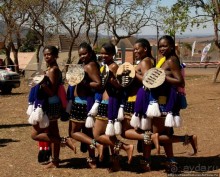 Альбом отзыва "Умхланга. День VI. Мандраж и надежды претенденток"