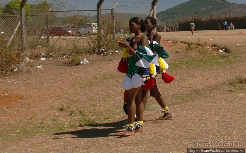 Альбом отзыва "Умхланга. День VI. Мандраж и надежды претенденток"