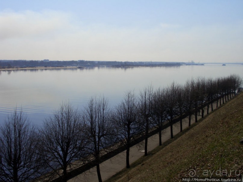 Медведь с секирой