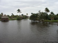 К индейцам и крокодилам