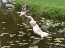 К индейцам и крокодилам