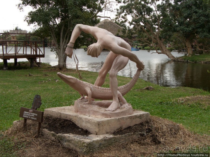 К индейцам и крокодилам