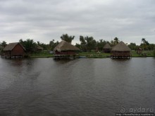 К индейцам и крокодилам