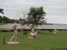 К индейцам и крокодилам