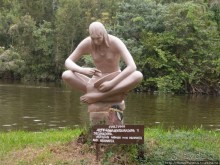 К индейцам и крокодилам