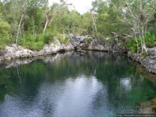 К индейцам и крокодилам