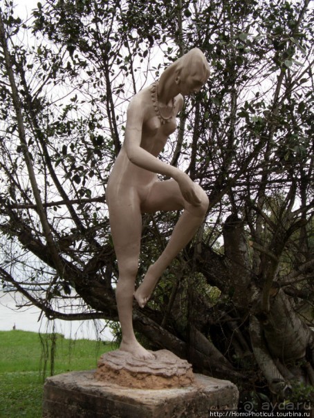 К индейцам и крокодилам