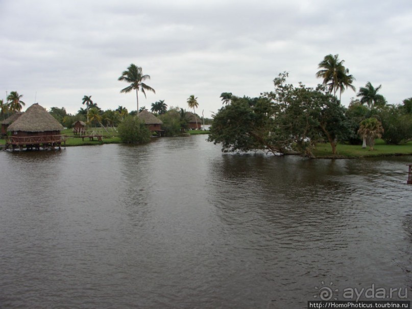 К индейцам и крокодилам