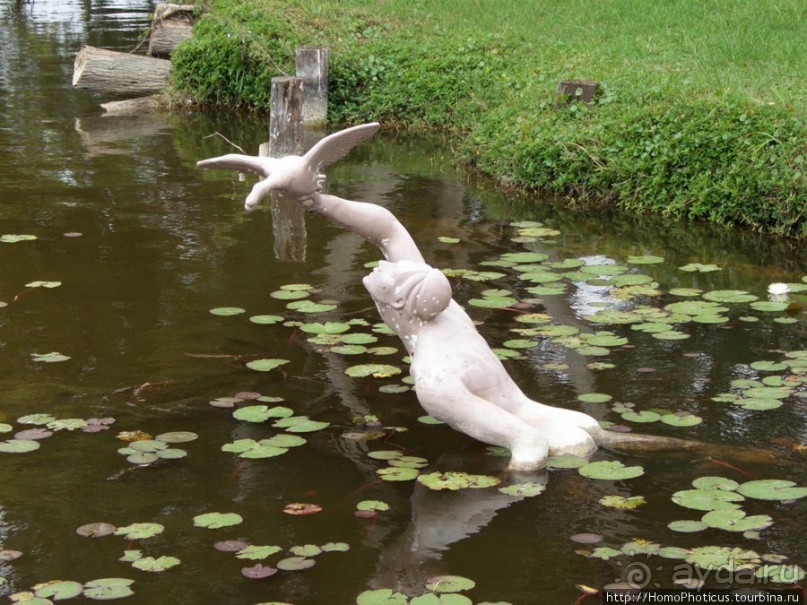 К индейцам и крокодилам