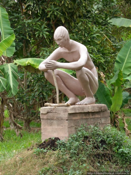 К индейцам и крокодилам