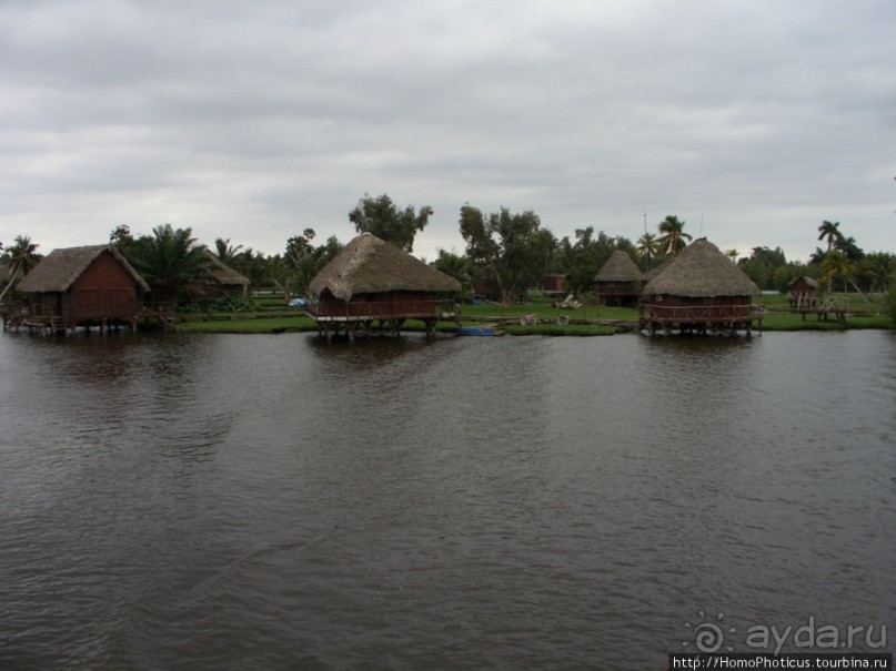 К индейцам и крокодилам