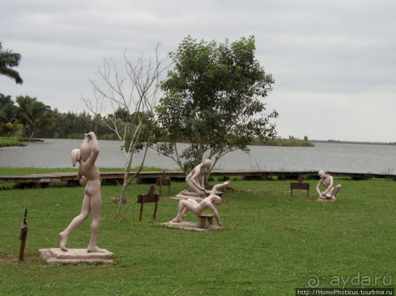 К индейцам и крокодилам