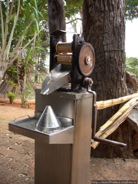 К индейцам и крокодилам