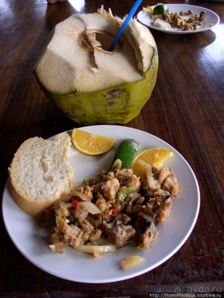 К индейцам и крокодилам