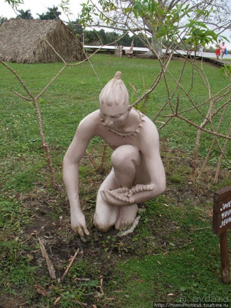 К индейцам и крокодилам