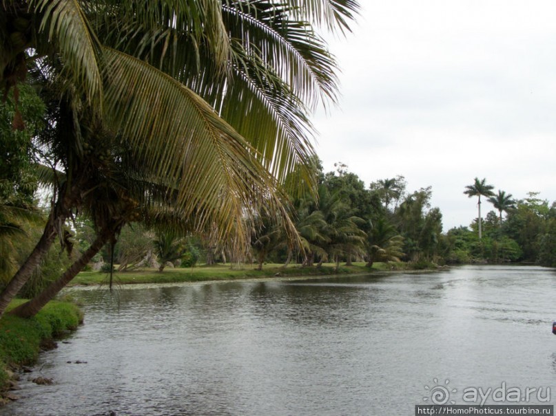 К индейцам и крокодилам